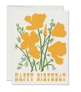 California Poppy Birthday Notecard